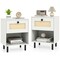 Set of 2 Modern White Rattan Boho Nightstand Bedside Table with Drawer and Shelf for Bedroom